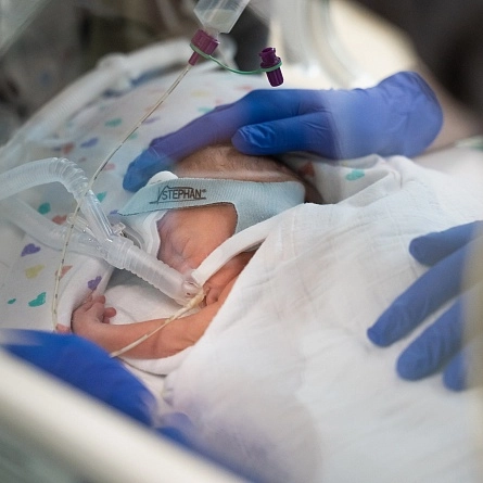 Аппарат ИВЛ Stephan Sophie неонатальный от Fritz Stephan фотография