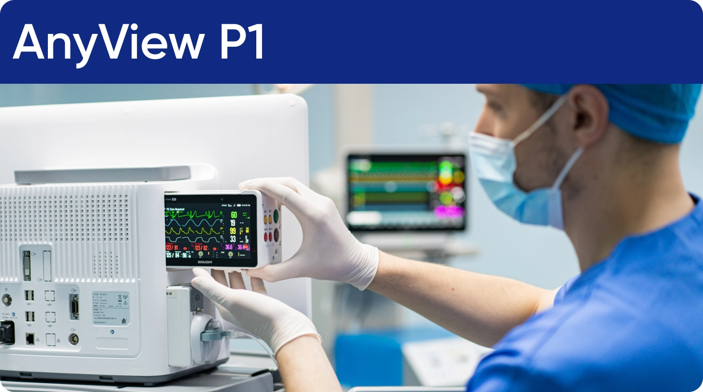  AnyView P1